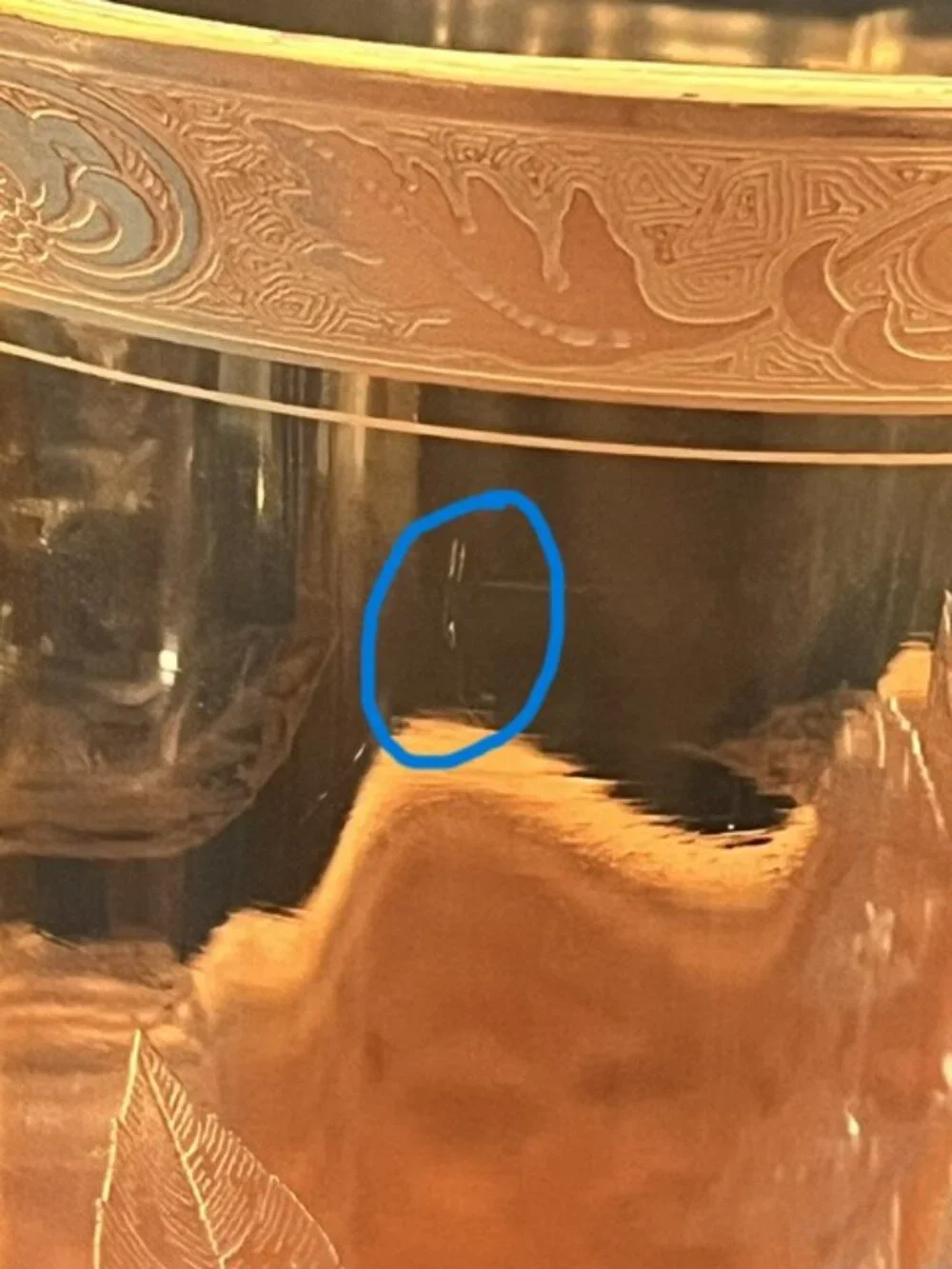 Cambridge Amber Etched Glass #717 Bird & Butterfly 13